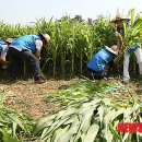 (주)대공 이미지