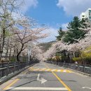 마들소망약국