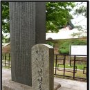 영영축성비 이미지