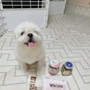 하얀개마을 이미지