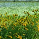 죽동체육공원 이미지