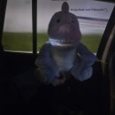 공룡PC | [말하는 공룡 친구 카티 후기] 언어발달 + 분리수면 + 감정놀이까지 한 번에! 퍼블컬러 실사용 리뷰