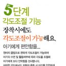 나니아 이미지