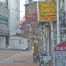 카츠정연 네이버블로그