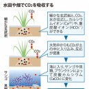 CO2를 영구히 가두어 둔다. 태고의 지구조차도 식힌 '유력 후보'의 효과. 이미지