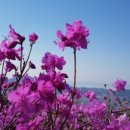 아름다움 이미지