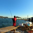 대부도바다낚시터 이미지