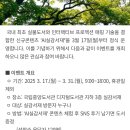 3월20일(목) 오후1시 국립중앙도서관 AI실감서재 체험 + 서초행복길5코스 이미지