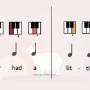 피아노(초급) 이미지