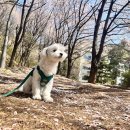 바우스쿨 이미지