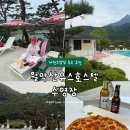 대림리 썬하우스 호스텔 | 제천숙소 추천 월악산유스호스텔 수영장 레이크앤마운틴 피자