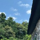 수산돌담채 이미지