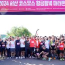 서산시, 2024 서산 코스모스 황금들녘 마라톤대회 성황리 마쳐(서산태안신문) 이미지