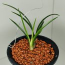 진주수곡우체국 이미지