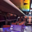 별빛물결시티투어 이미지