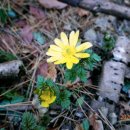 고흥이야기 이미지