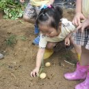 참빛농장 이미지