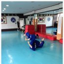 용인대 제일 유도관 이미지