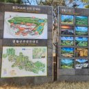 사지막길 | 탑스텐리조트 동강시스타 1박2일 이용 후기, 영월 여행의 여유를 담다