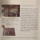 김녕환승정류장 | [제주] 4일차 (2) - 코난해변, 월정리해수욕장, 카페 오늘도 화창, 뿌리와열매