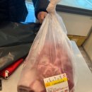 강원엘피씨