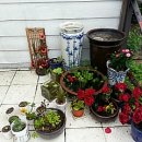 귀밤나무민박 이미지