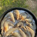 인천송도국제캠핑장 이미지