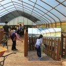 마루목장 이미지