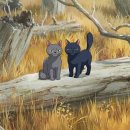 이웃집 메리 이미지