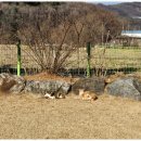 행복한요양원 | 양주장흥면요양원 찾다가 들른 행복한실버요양원… 기대 이상이라 놀랐던 방문 후기 💛