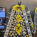 새금산병원 이미지