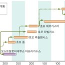 초록다슬기
