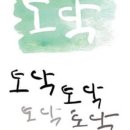 카페,토닥