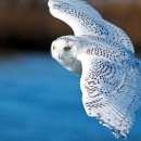 부산시립정신병원 이미지