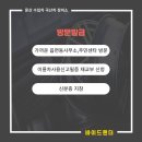 바이드핸더 이미지