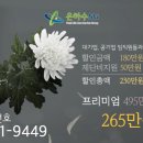 함양성심병원 이미지