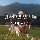 건강정보 ㅡ 간과하면 안 되는 몸의 신호ㅡ 대부분의 암은 초기 발견 시ㅡ 사망률이 크게 낮아집니다ㅡ 쉬거나 갈라지는 목소리ㅡ 밤새 심하 이미지