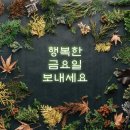 정선중학교 이미지