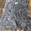 국대농장 이미지