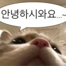 와우 헬스스피닝 이미지