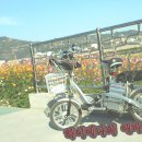 MBA모터스 이미지