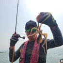 꽃지아라 이미지