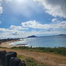 우도바다길가집 | 《우도여행 총정리》-배편부터 스쿠터 갈매기체험 자장면까지 하루 완벽코스