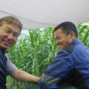 백춘덕, 직장(숲속에사과) 26-24, 공친 날 옥수수밭에서 이미지
