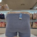 수비비안 티스토리