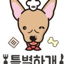 특별하개 이미지