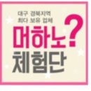 가야참가자미회 이미지