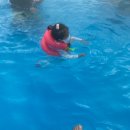 이레캠핑장 이미지