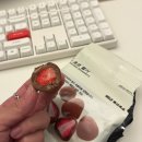 주간요가 | 10월 주간일기 | 무지, 금왕돈까스, 열락주세요, 누데이크 티 하우스, 어제의 카레, 쿠코 요가