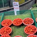 시장청년야채과일